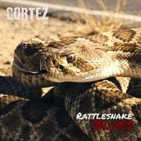 Rattlesnake Blues